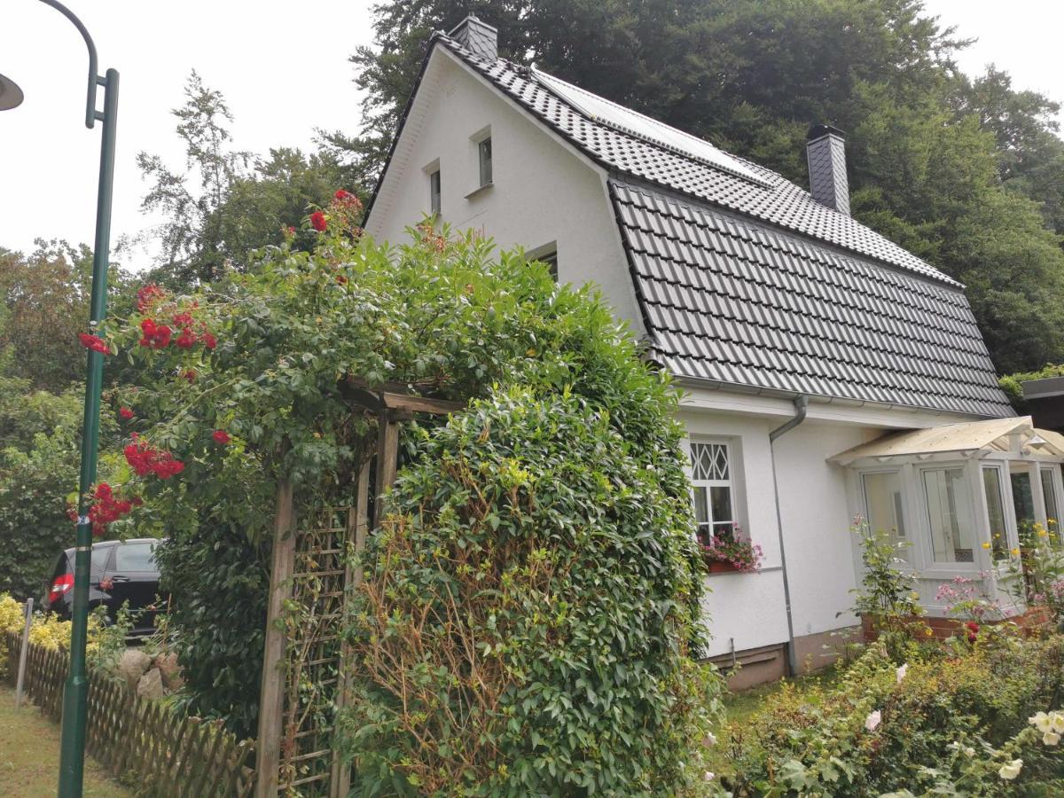 Ruegen Fewo 91 Buchenwinkel Appartement Bergen Auf Rugen Buitenkant foto